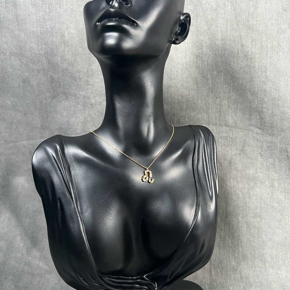 Leo Gold Necklace with Pendant